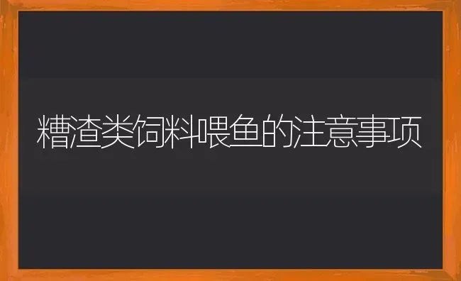 糟渣类饲料喂鱼的注意事项 | 动物养殖饲料