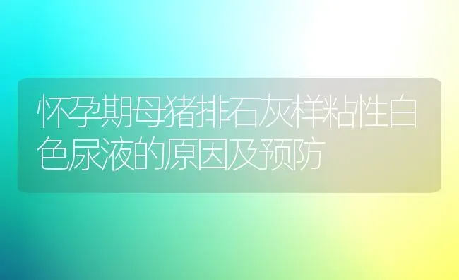 怀孕期母猪排石灰样粘性白色尿液的原因及预防 | 家畜养殖