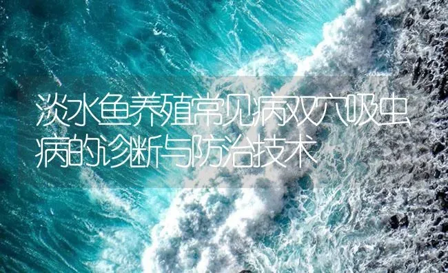 淡水鱼养殖常见病双穴吸虫病的诊断与防治技术 | 养殖病虫害防治