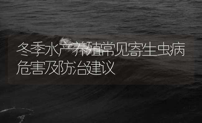 冬季水产养殖常见寄生虫病危害及防治建议 | 养殖病虫害防治