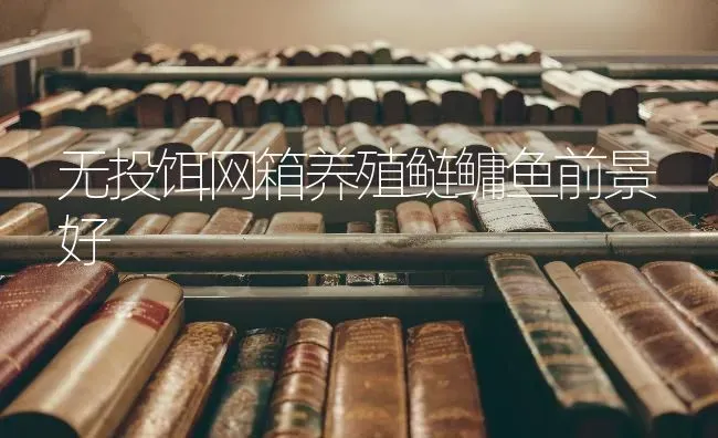 无投饵网箱养殖鲢鳙鱼前景好 | 淡水养殖