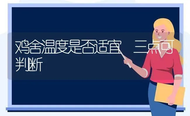鸡舍温度是否适宜 三点可判断 | 家禽养殖