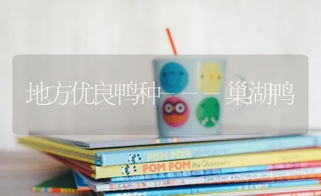 地方优良鸭种---巢湖鸭 | 家禽养殖