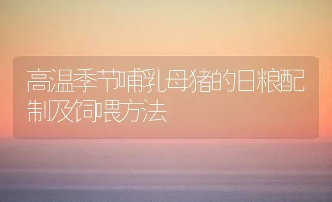 高温季节哺乳母猪的日粮配制及饲喂方法 | 家畜养殖