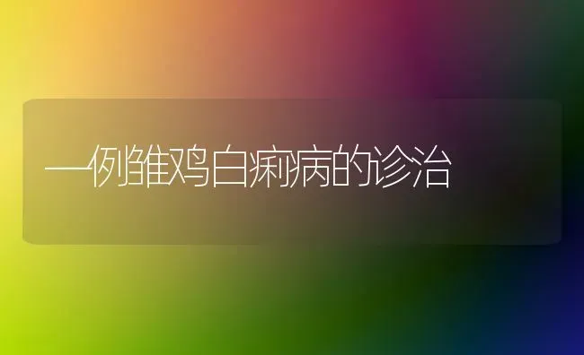 —例雏鸡白痢病的诊治 | 家禽养殖