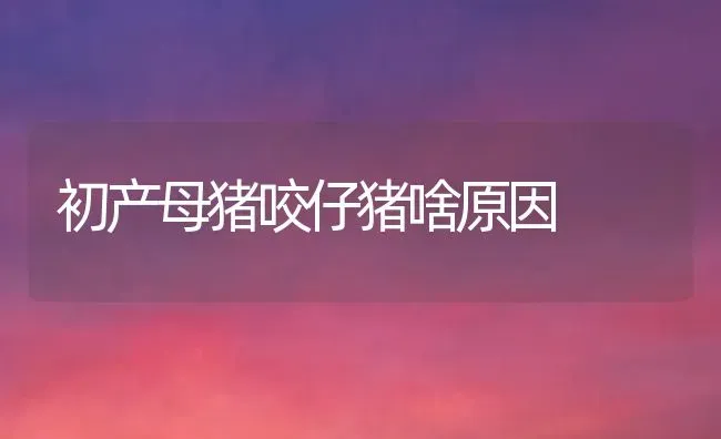 初产母猪咬仔猪啥原因 | 家畜养殖