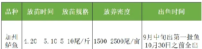 北方地区加州鲈鱼养殖现状及思考