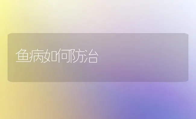 鱼病如何防治 | 淡水养殖