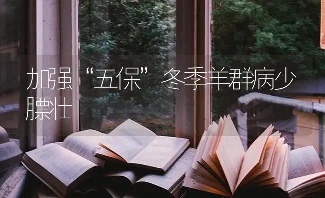 加强“五保”冬季羊群病少膘壮 | 家畜养殖