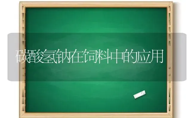 碳酸氢钠在饲料中的应用 | 动物养殖饲料