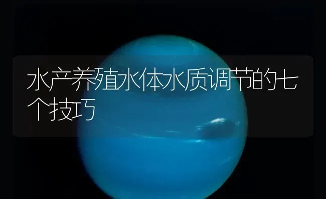 水产养殖水体水质调节的七个技巧 | 动物养殖百科