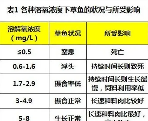 鱼塘缺氧是老生常谈，但却刻不容缓，王工支招多方位防治