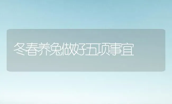 冬春养兔做好五项事宜 | 家畜养殖
