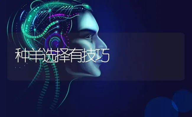 种羊选择有技巧 | 家畜养殖