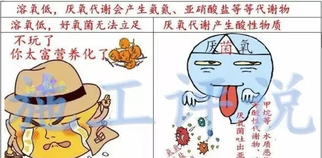 微生物是把双刃剑，养殖户要合理使用才能发挥最大效果