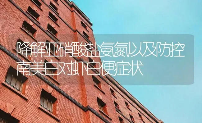 降解亚硝酸盐氨氮以及防控南美白对虾白便症状 | 海水养殖
