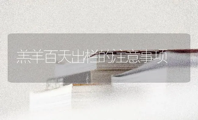 羔羊百天出栏的注意事项 | 家畜养殖