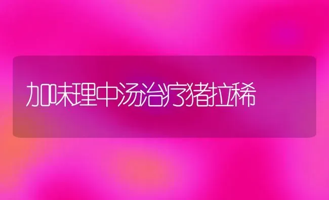 加味理中汤治疗猪拉稀 | 家畜养殖