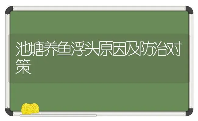 池塘养鱼浮头原因及防治对策 | 淡水养殖