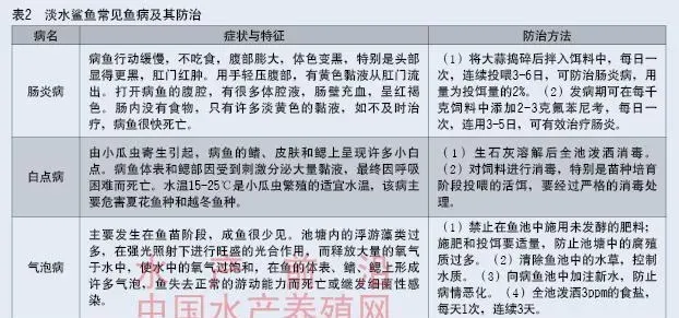 淡水鲨鱼人工繁养技术总结