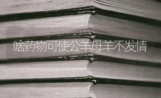 啥药物可使公羊母羊不发情 | 养殖病虫害防治