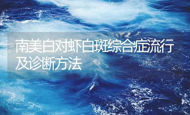 南美白对虾白斑综合症流行及诊断方法 | 海水养殖