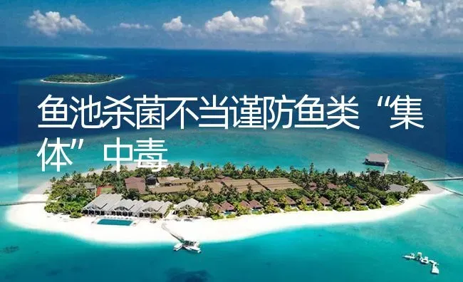 鱼池杀菌不当谨防鱼类“集体”中毒 | 养殖病虫害防治
