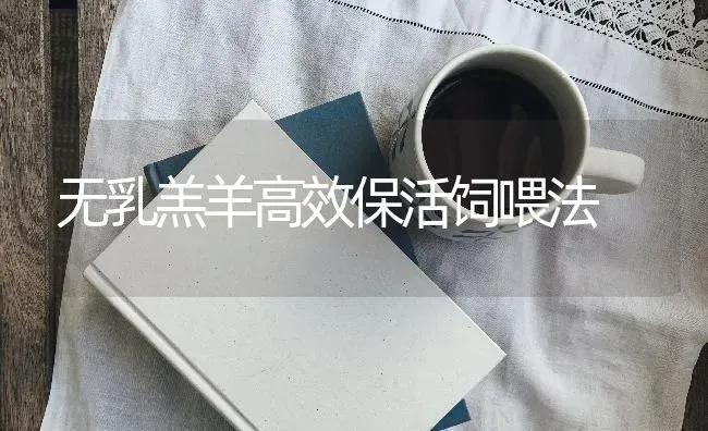 无乳羔羊高效保活饲喂法 | 家畜养殖