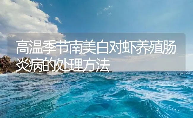 高温季节南美白对虾养殖肠炎病的处理方法 | 海水养殖