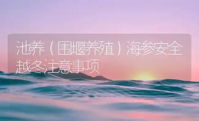 池养（围堰养殖）海参安全越冬注意事项 | 海水养殖