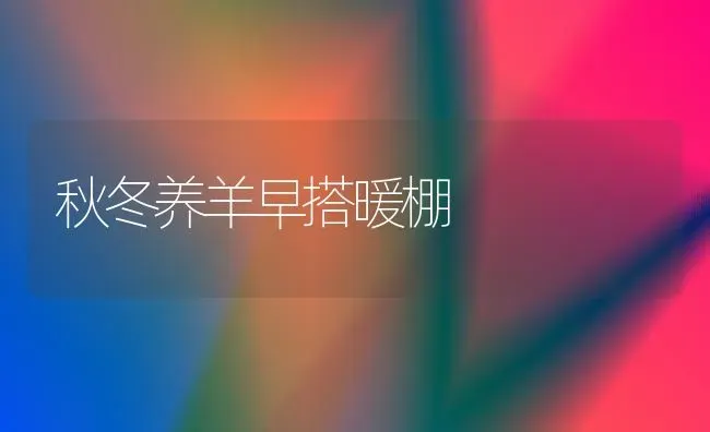 秋冬养羊早搭暖棚 | 家畜养殖