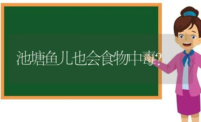 池塘鱼儿也会食物中毒？ | 动物养殖百科