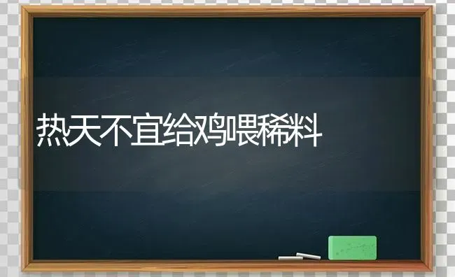 热天不宜给鸡喂稀料 | 家禽养殖