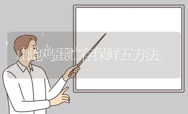 山地鸡蛋贮存保鲜五方法 | 家禽养殖
