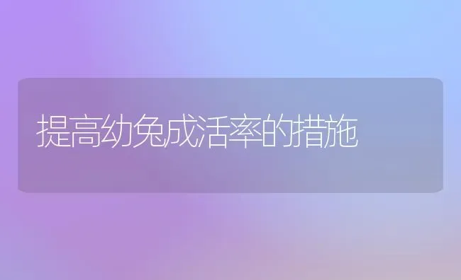 提高幼兔成活率的措施 | 家畜养殖