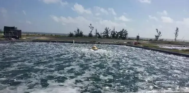 水产养殖户改底的目的和技术要点