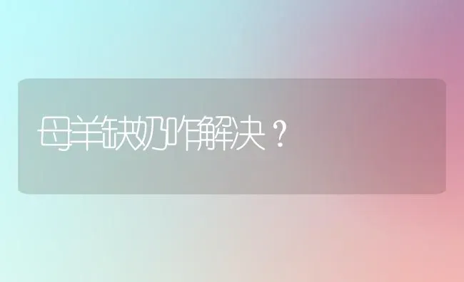 母羊缺奶咋解决？ | 家畜养殖