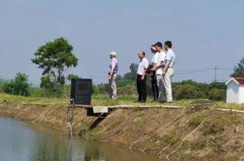 极端高温灾害天气黄颡鱼养殖应急管理技术要点