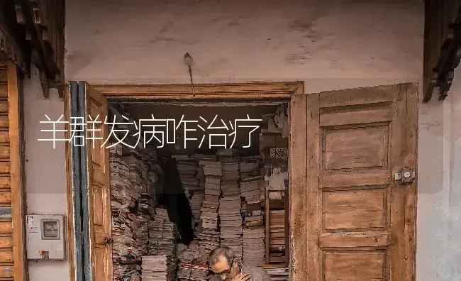 羊群发病咋治疗 | 家畜养殖