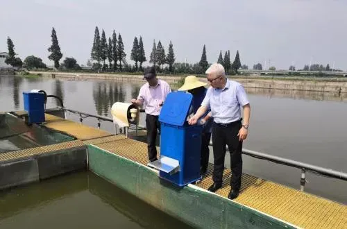 极端高温灾害天气黄颡鱼养殖应急管理技术要点