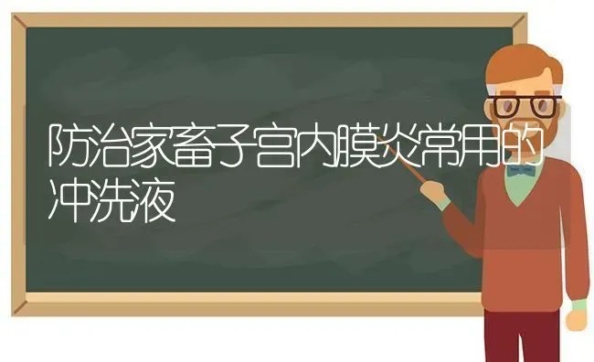 防治家畜子宫内膜炎常用的冲洗液 | 家畜养殖
