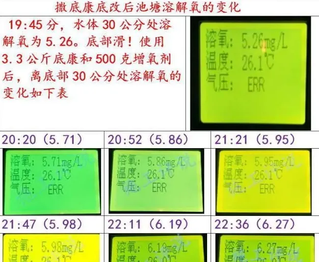 微生物是把双刃剑，养殖户要合理使用才能发挥最大效果