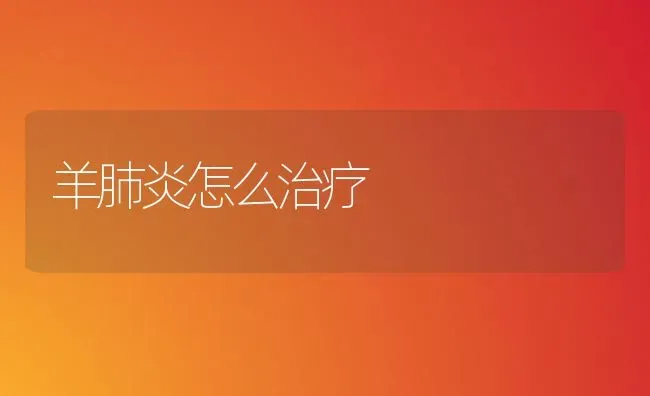 羊肺炎怎么治疗 | 家畜养殖