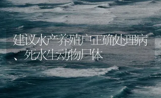 建议水产养殖户正确处理病、死水生动物尸体 | 养殖病虫害防治