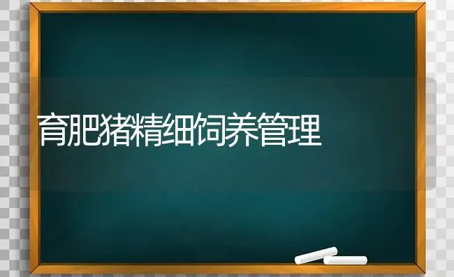 育肥猪精细饲养管理 | 家畜养殖