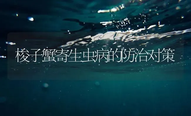 梭子蟹寄生虫病的防治对策 | 海水养殖