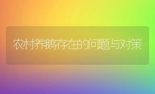 农村养鹅存在的问题与对策 | 家禽养殖
