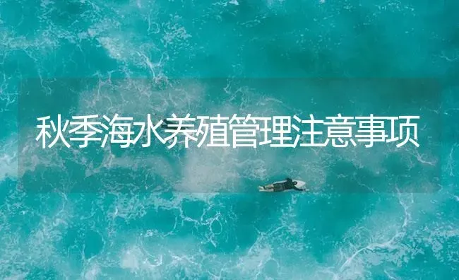 秋季海水养殖管理注意事项 | 海水养殖