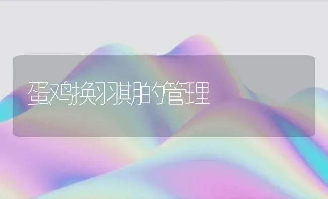 蛋鸡换羽期的管理 | 家禽养殖