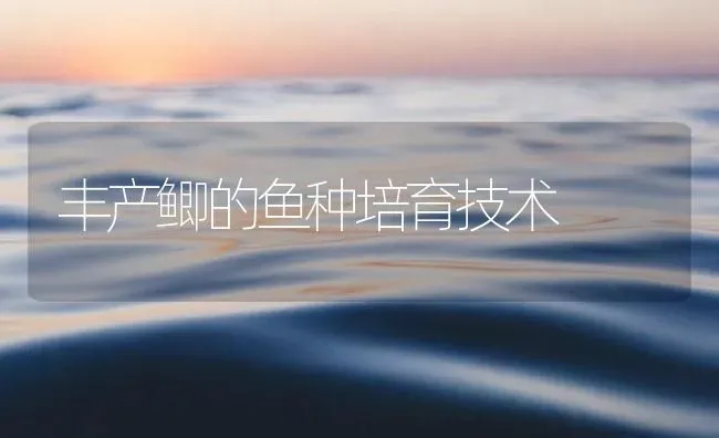 丰产鲫的鱼种培育技术 | 淡水养殖